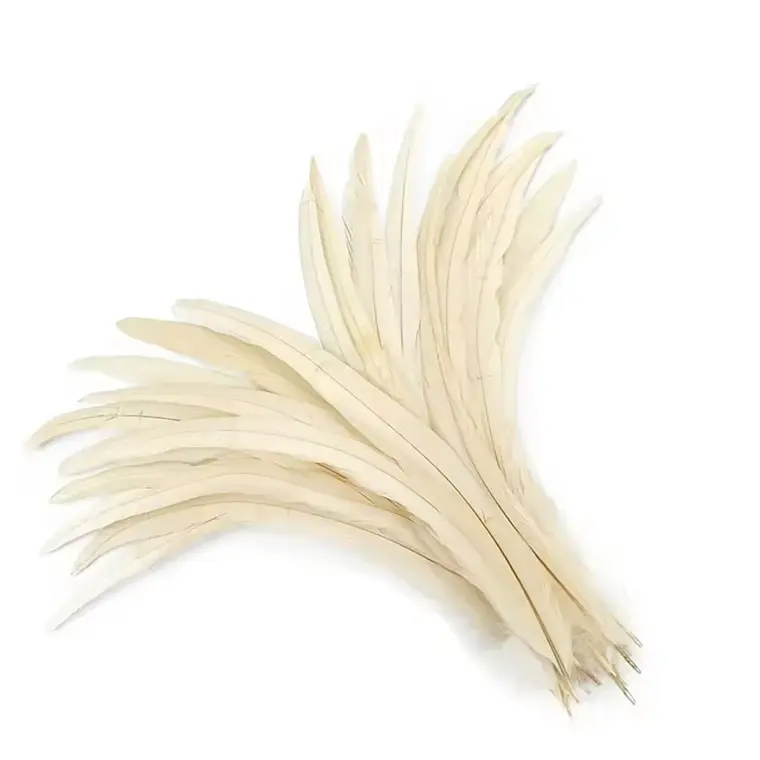 Pack 10 Plumas Vaero beige Largo 20 a 25cm 1