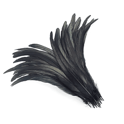 Pack 100 Plumas aprox. Largas Negro Entre 20 y 25cm