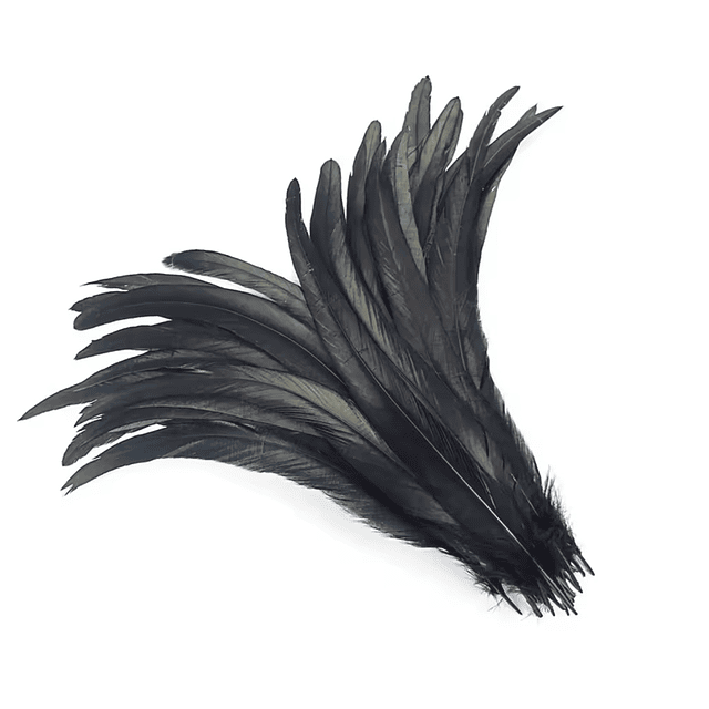 Pack 100 Plumas aprox. Largas Negro Entre 20 y 25cm