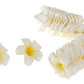 pack 100 flores de 4,5cm Tipanie Blanco Con Amarillo Goma Eva - Miniatura 1