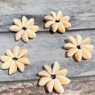 Pack 5 flor Conchitas Cauri Pure Blanco