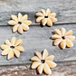 Pack 5 flor Conchitas Cauri Pure Blanco - Miniatura 2