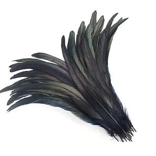 Pack 50 Plumas aprox. Largas Negro Entre 20 y 25cm