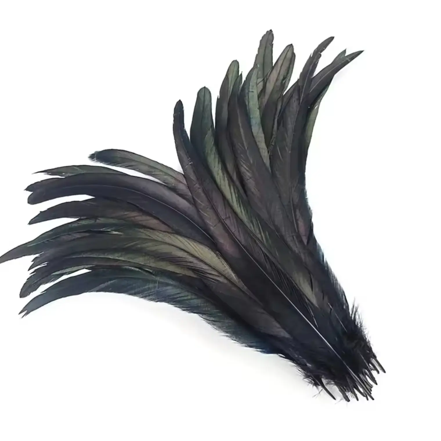 Bolsa 10 Plumas Largas Negro Entre 20 y 25cm Para Artesania 2