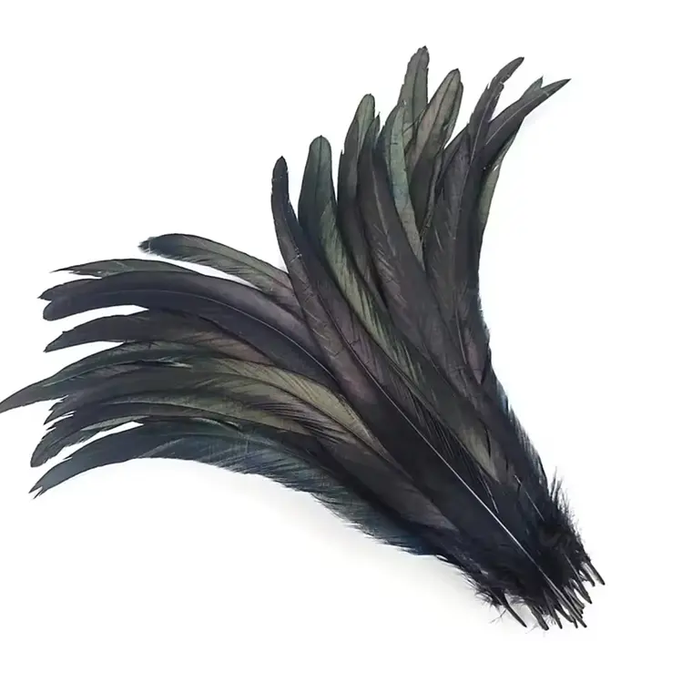 Bolsa 10 Plumas Largas Negro Entre 20 y 25cm Para Artesania 2