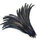 Bolsa 10 Plumas Largas Negro Entre 20 y 25cm Para Artesania - Miniatura 2
