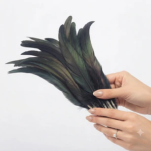 Pack 50 Plumas aprox. Largas Negro Entre 20 y 25cm