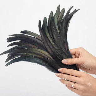 Pack 100 Plumas aprox. Largas Negro Entre 20 y 25cm