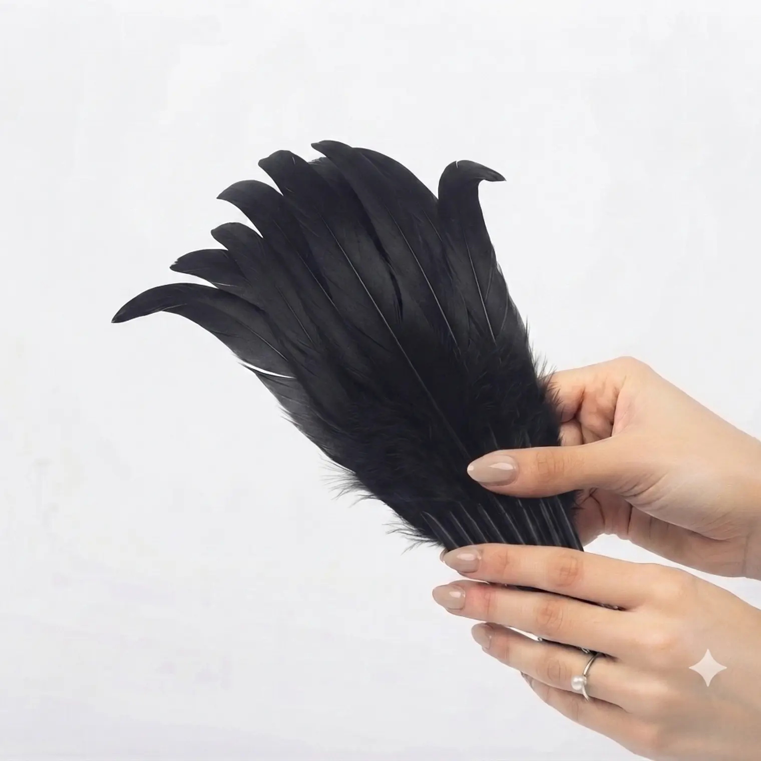Bolsa 10 Plumas Largas Negro Entre 20 y 25cm Para Artesania 1