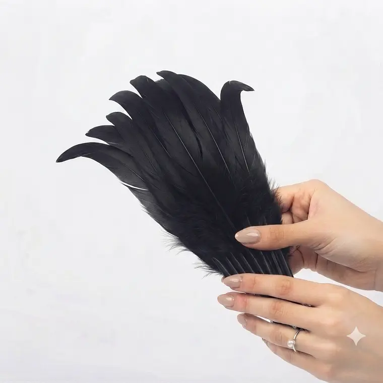 Bolsa 10 Plumas Largas Negro Entre 20 y 25cm Para Artesania 1