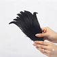 Bolsa 10 Plumas Largas Negro Entre 20 y 25cm Para Artesania - Miniatura 1