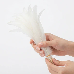 Pack 8 Plumas vaero Largas Blancas 18 A 20cm