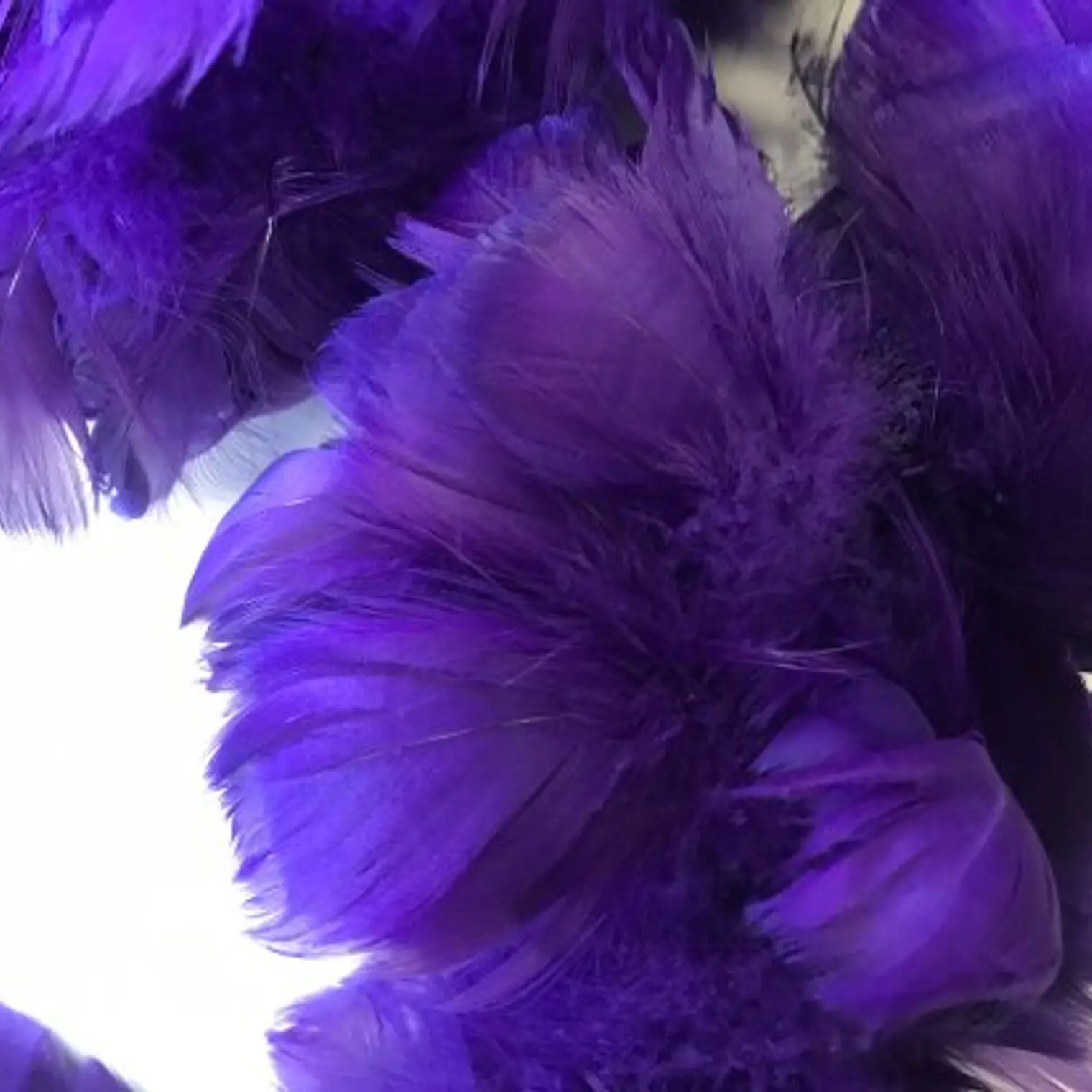 Bolsa Plumas Moradas Purpura 4 A 8cm app 100un 1