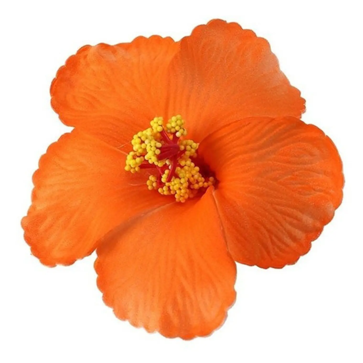 Pack 5 Flores Polinésicas Hibisco naranjo con pinza 2