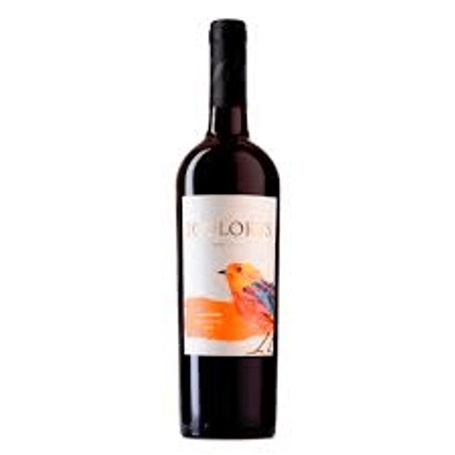 Picoteo al Instante 1 Con los Mejores Productos Gourmet.