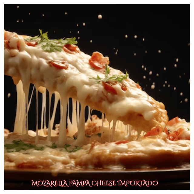Queso Mozzarella Pampa Cheese 2 Barra 10 Kilos