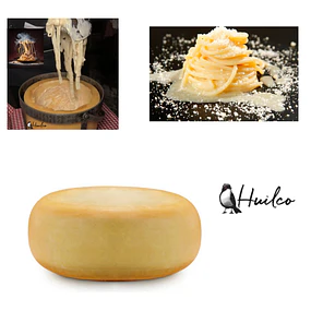 Parmesano Reggiano Horma Huilco 4,5 Kg 36 Meses Maduración