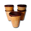 Vasos Shot de Barquillos con Relleno de Chocolate Semi Amargo Comestibles + Cucharita de Galleta