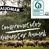 JAMÓN DE CEBO IBÉRICO 50% RAZA IBÉRICA 8 Kg CON ATRIL Y CUCHILLO EN CAJA DE REGALOS.