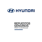 SEGURO PATIN FRENO 1.25 TON 5838644500 ORIGINAL HYUNDAI 1