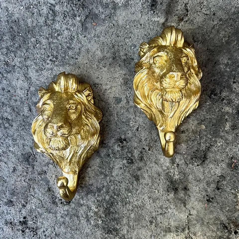 Percha León 2