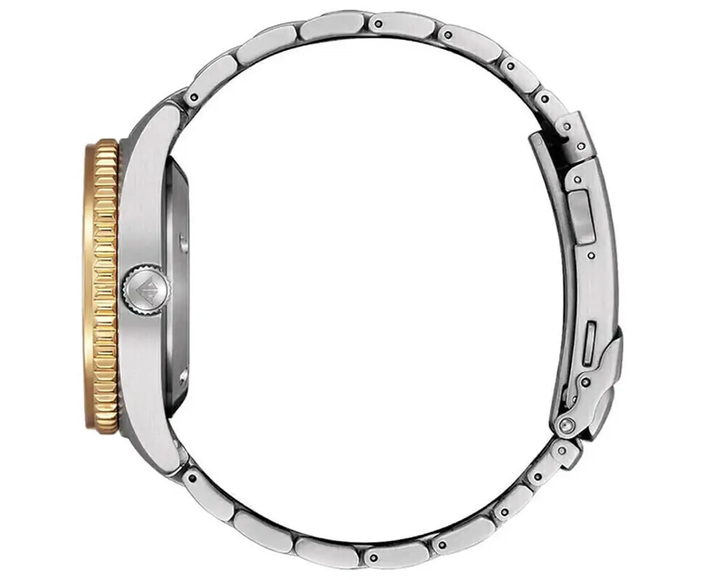 Reloj CITIZEN Automatic Promaster Dive NY0125-83E 2