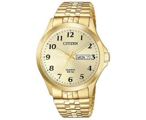 Reloj CITIZEN Quartz BF5002-99P