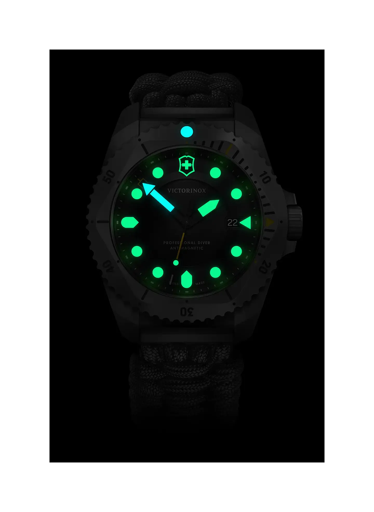 Reloj VICTORINOX Dive Pro Quartz Titanium Gris 2