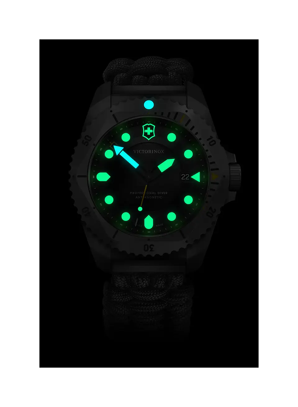 Reloj VICTORINOX Dive Pro Quartz Titanium Gris 2