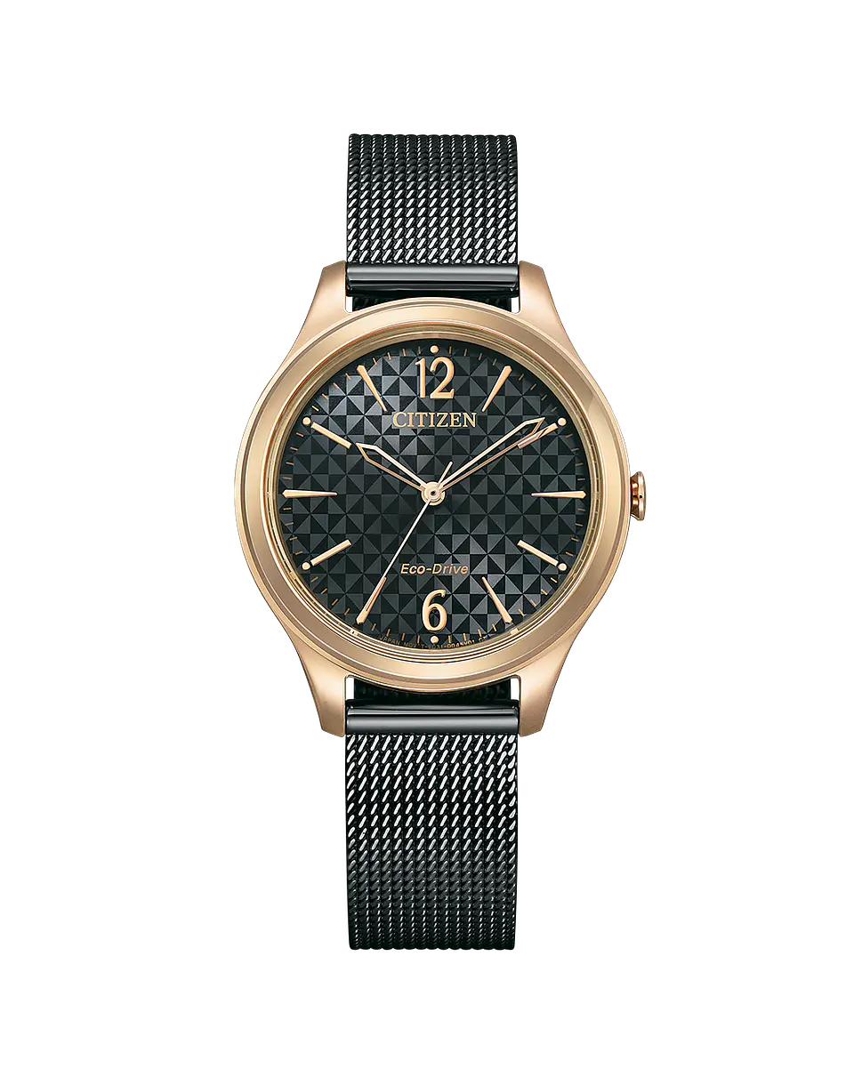 Reloj CITIZEN W Eco-Drive EM0509-87E 1