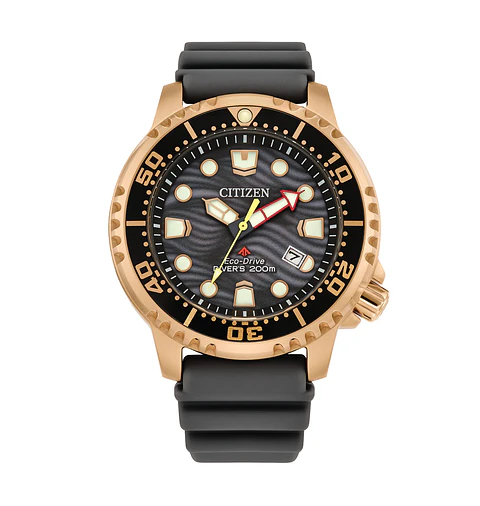 Reloj CITIZEN Eco-Drive Promaster Dive BN0163-00H