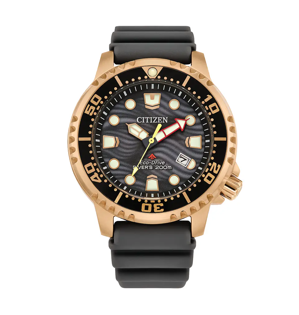 Reloj CITIZEN Eco-Drive Promaster Dive BN0163-00H 1