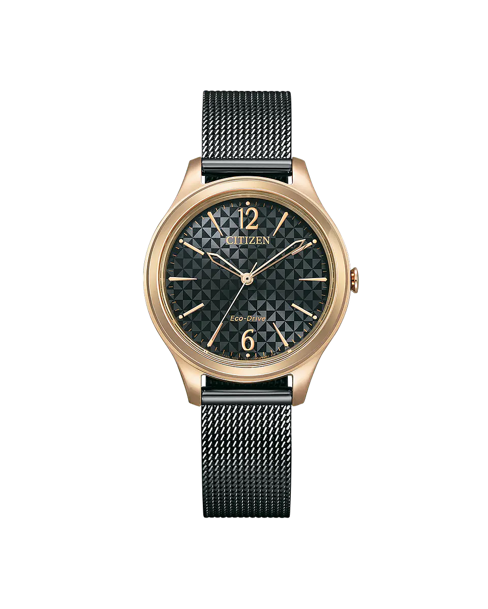 Reloj CITIZEN W Eco-Drive EM0509-87E 1