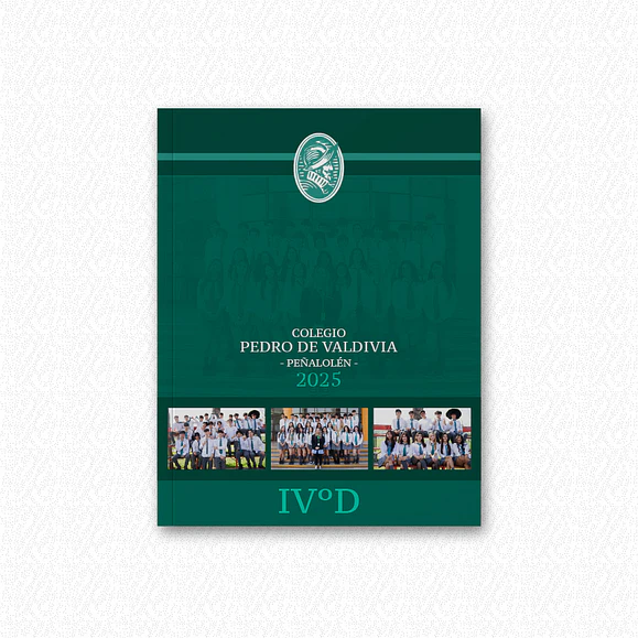 Anuario diseño Institucional 1