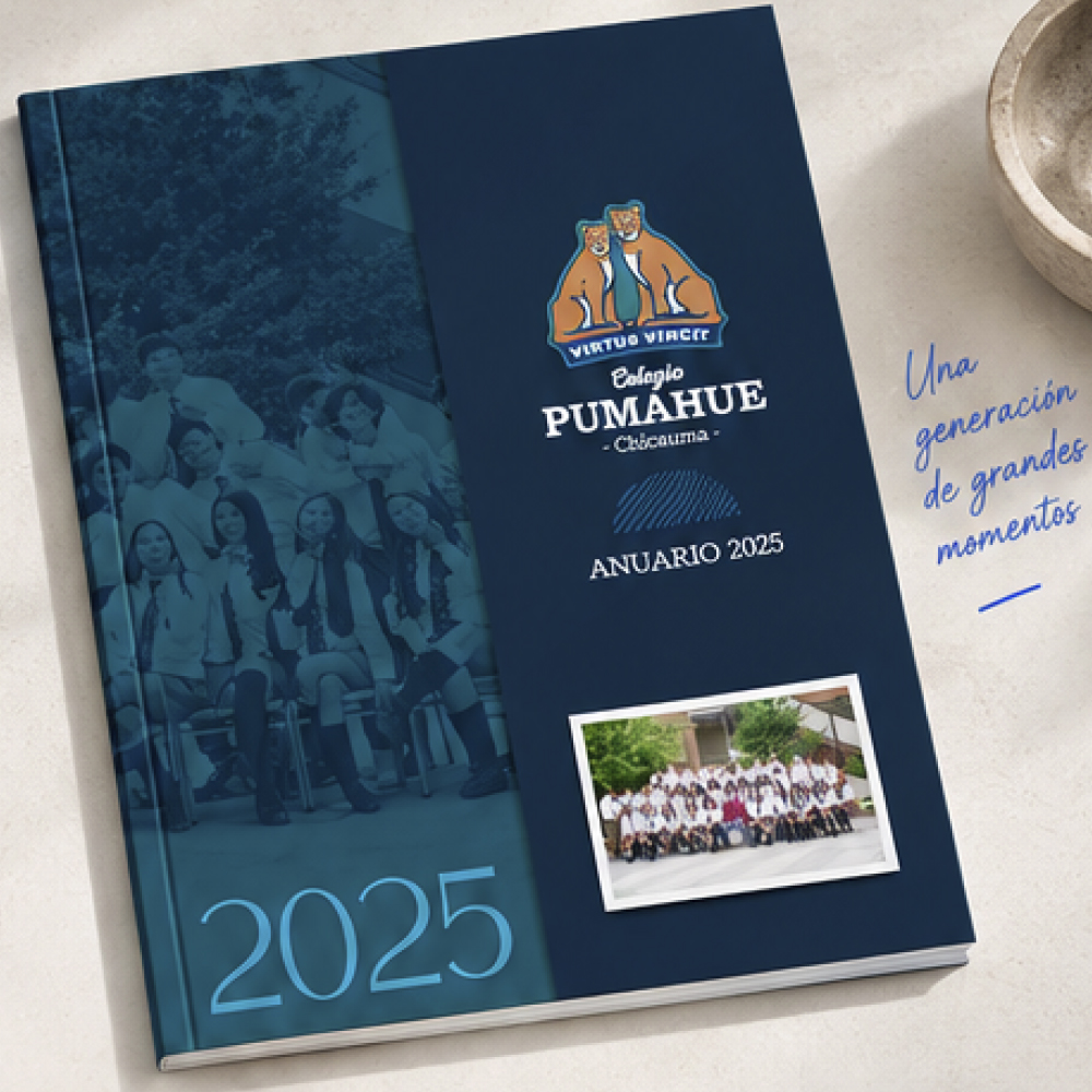 Anuario diseño Institucional