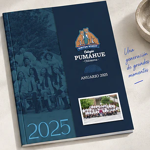 Anuario diseño Institucional