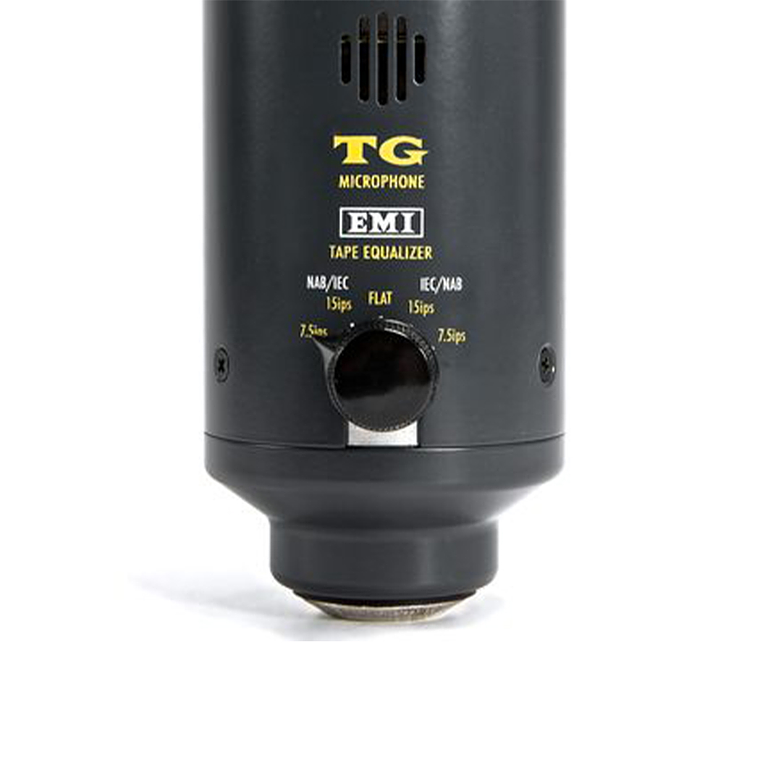 CHANDLER LIMITED TG Micrófono 5