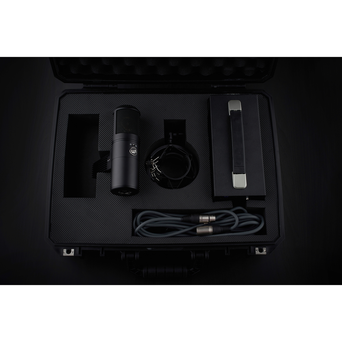 Warm Audio WA 8000 Micrófono 3