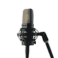 Warm Audio WA 14 Micrófono de Condensador - Miniatura 5