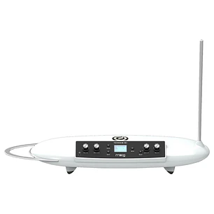 Moog Theremini Theremin