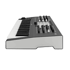 Waldorf Iridium Sintetizador 6