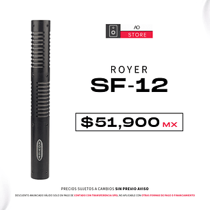Royer SF 12 Microfono