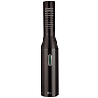 Royer SF 2 Microfono 2
