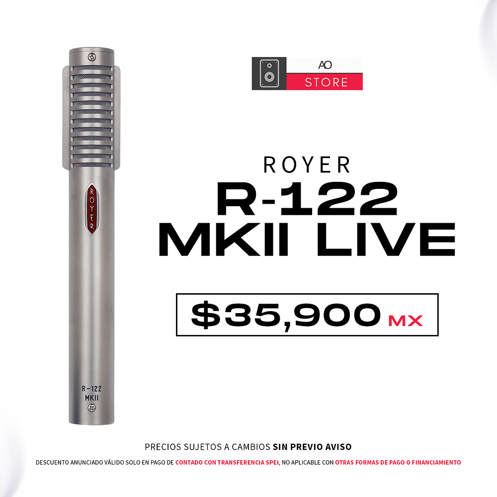 Royer R 122 MKII Live Microfono 1