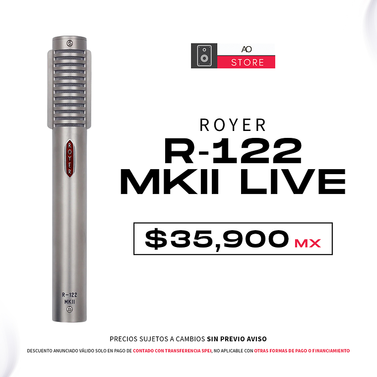 Royer R 122 MKII Live Microfono 1
