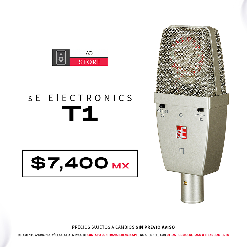 sE Electronics T1 Micrófono de Condensador 1
