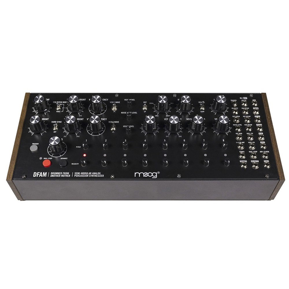 Moog Dfam Sintetizador 2