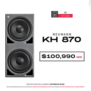 Neumann KH 870 Subwoofer De Estudio