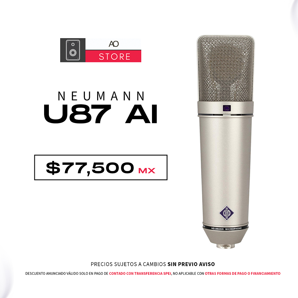 Neumann U87 AI Micrófono Multipatrón 1