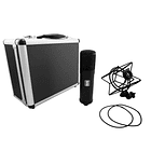 Slate Digital VMS ML 1 Micrófono De Modelado 5